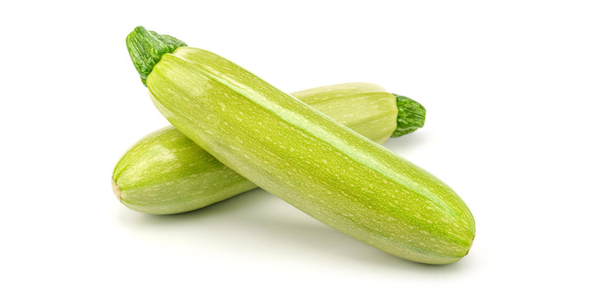 Zucchino, da Rijk Zwaan nuove soluzioni per i produttori